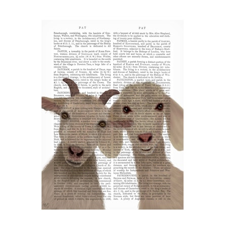Fab Funky 'Goat Duo Looking At You Book Print' Canvas Art, 14x19